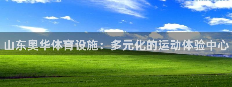 意昂体育4平台APP：山东奥华体育设施：多元化的运动