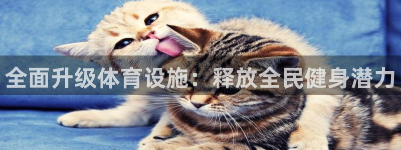 意昂体育4平台假的吗是真的吗：全面升级体育设施：释放
