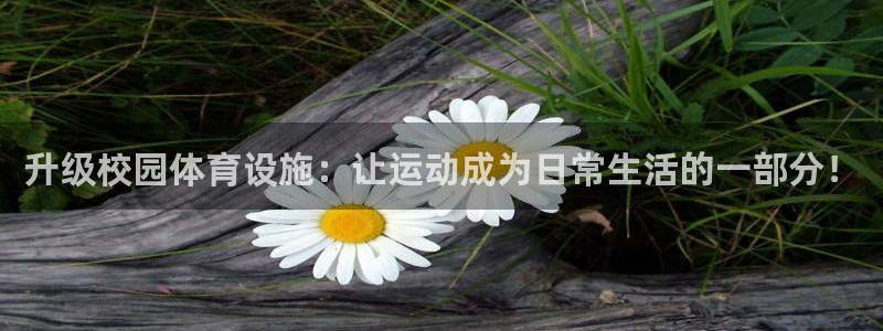 意昂4官方：升级校园体育设施：让运动成为日常生活的一
