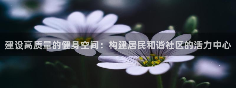 意昂集团官网：建设高质量的健身空间：构建居民和谐社区的活力中