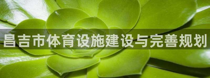意昂体育4招商电话地址是多少：昌吉市体育设施建设与完善规划