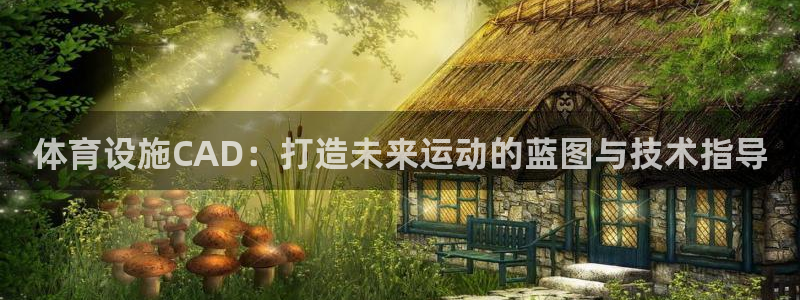 意昂4娱乐40996：体育设施CAD：打造未来运动的蓝图与技