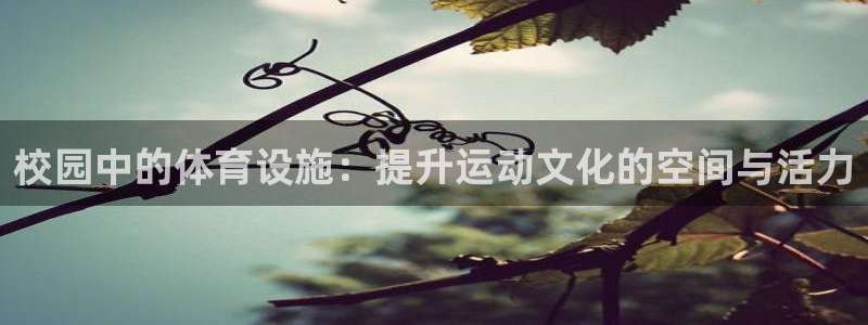 意昂4娱乐：校园中的体育设施：提升运动文化的空间与活力