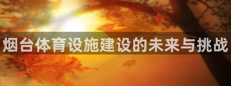 意昂体育4是干嘛的公司：烟台体育设施建设的未来与挑战