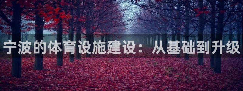 意昂4娱乐首页网站大全：宁波的体育设施建设：从基础到