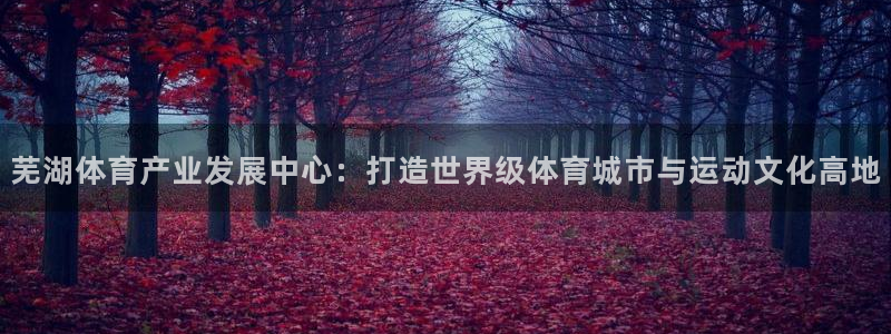 意昂4神州：芜湖体育产业发展中心：打造世界级体育城市