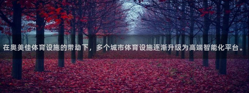 意昂4集团：在奥美佳体育设施的带动下，多个城市体育设