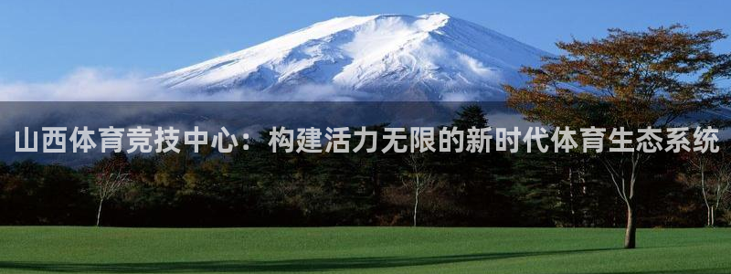 意昂体育4平台注册流程图：山西体育竞技中心：构建活力