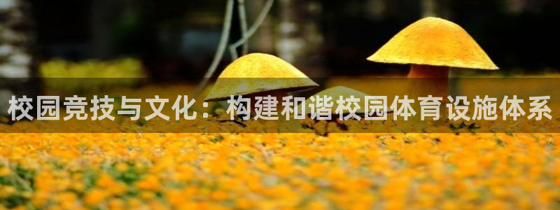 意昂4集团E.ON：校园竞技与文化：构建和谐校园体育