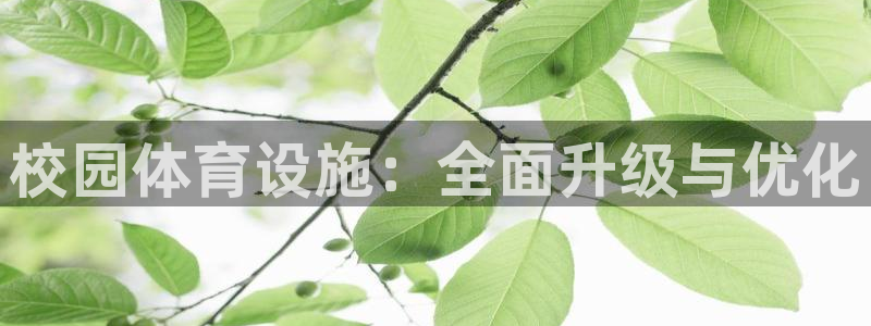 意昂体育4注册：校园体育设施：全面升级与优化
