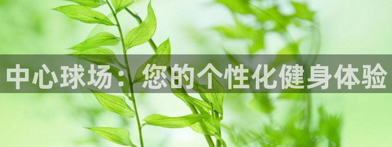 意昂4集团简介：中心球场：您的个性化健身体验