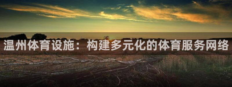 意昂体育4软件：温州体育设施：构建多元化的体育服务网