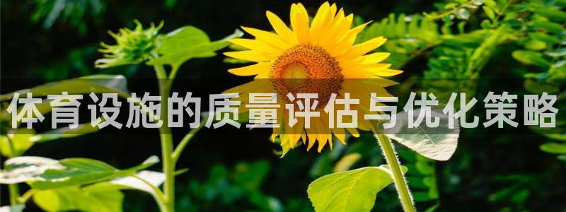 意昂4开户：体育设施的质量评估与优化策略