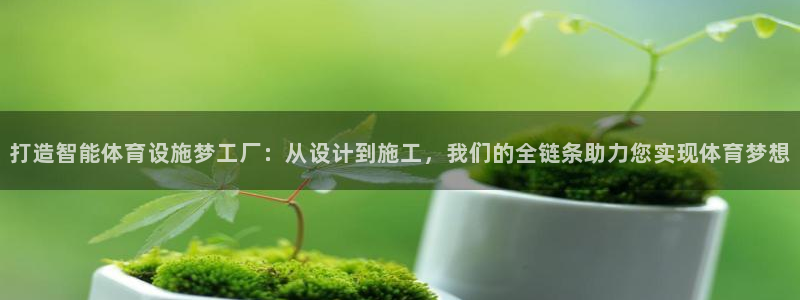 意昂体育4招商电话：打造智能体育设施梦工厂：从设计到