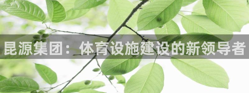 意昂体育4平台是正规平台吗安全吗：昆源集团：体育设施