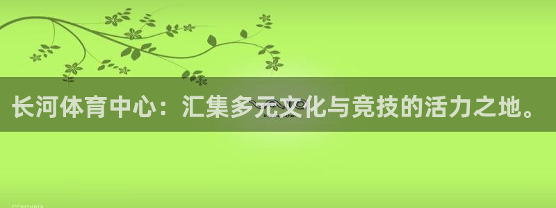 意昂4娱乐40996：长河体育中心：汇集多元文化与竞