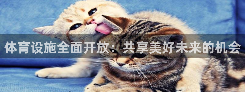 意昂平台体育：体育设施全面开放：共享美好未来的机会
