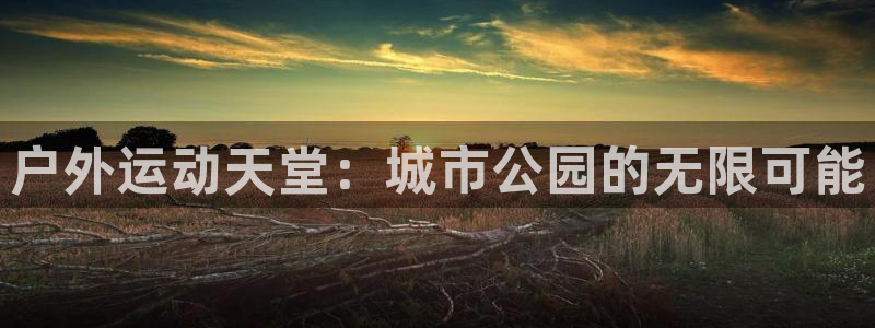 意昂4神州：户外运动天堂：城市公园的无限可能