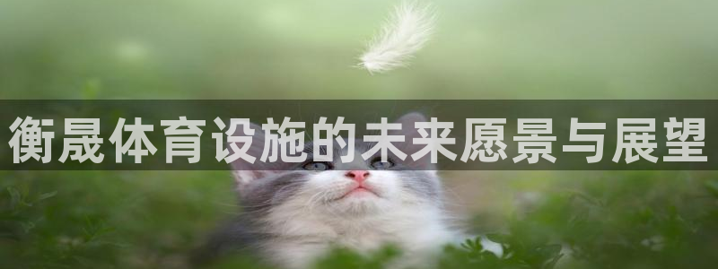 意昂体育4招商电话是多少啊：衡晟体育设施的未来愿景与