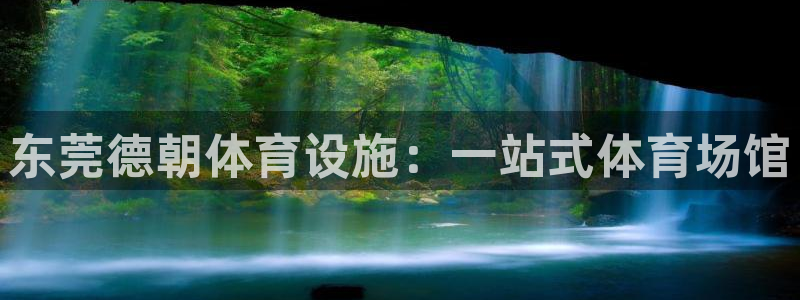 意昂体育4招商电话是多少：东莞德朝体育设施：一站式体