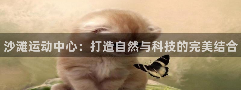 意昂体育4平台注册要钱吗：沙滩运动中心：打造自然与科