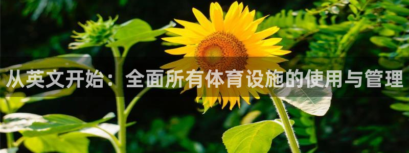 意昂4集团E.ON：从英文开始：全面所有体育设施的使