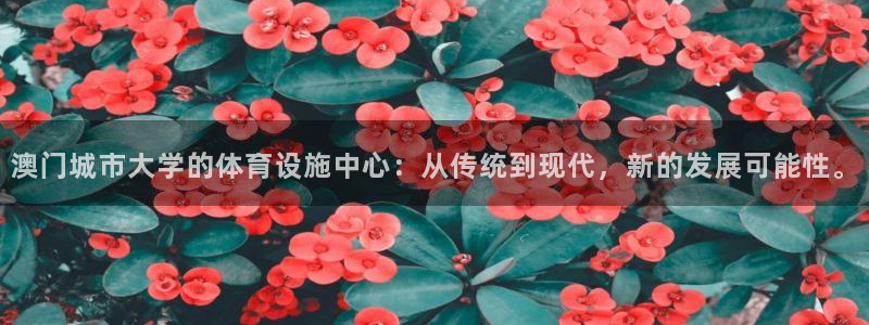 意昂体育4招商电话是多少：澳门城市大学的体育设施中心