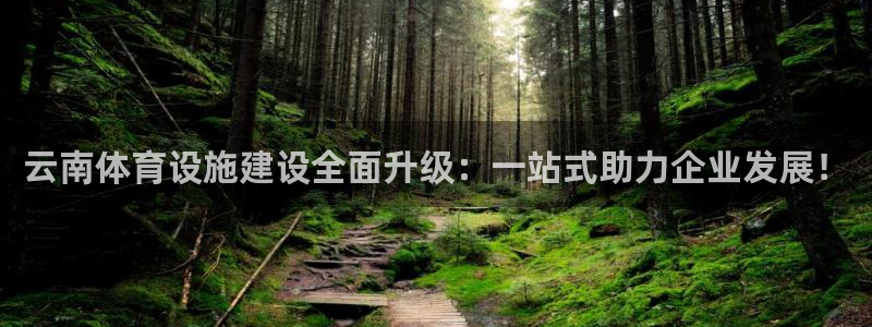 意昂4集团官网网址：云南体育设施建设全面升级：一站式助力企业