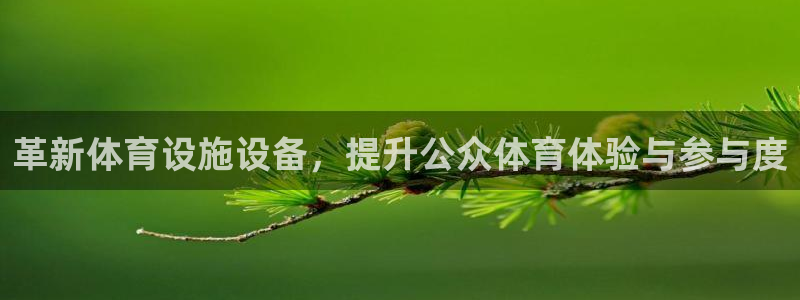 意昂体育4招商电话地址：革新体育设施设备，提升公众体育体验与