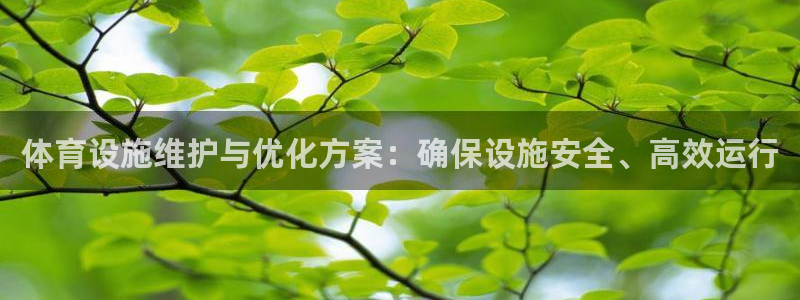 意昂4官方：体育设施维护与优化方案：确保设施安全、高效运行