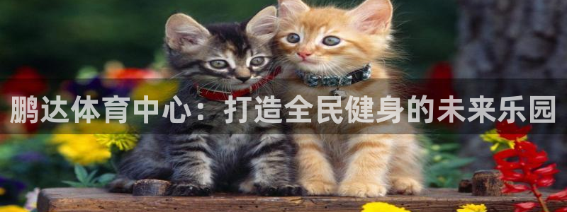 意昂体育4平台注册要钱吗：鹏达体育中心：打造全民健身的未来乐