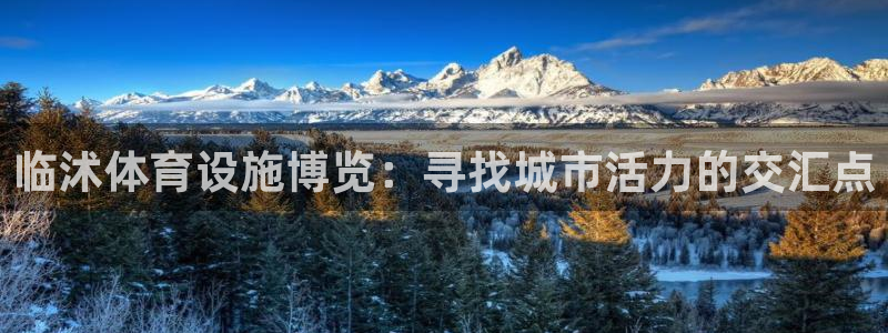 意昂体育4招商电话地址查询：临沭体育设施博览：寻找城市活力的 