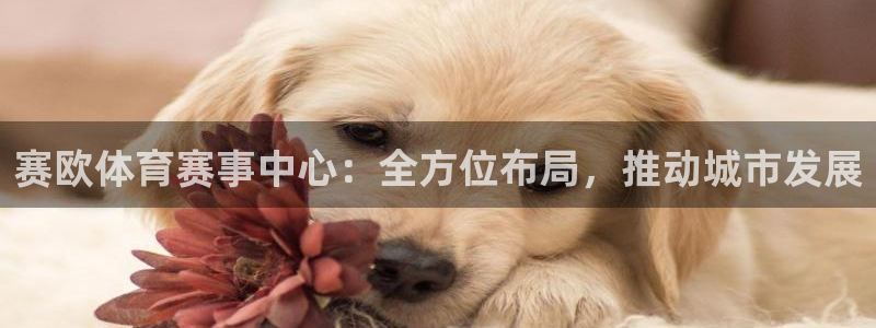 意昂体育4平台注册：赛欧体育赛事中心：全方位布局，推动城市发 