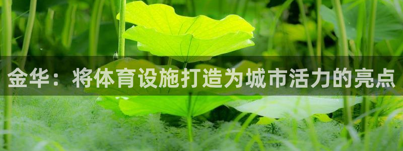意昂4科技：金华：将体育设施打造为城市活力的亮点