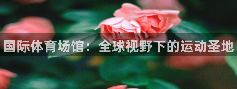 注册意昂4：国际体育场馆：全球视野下的运动圣地