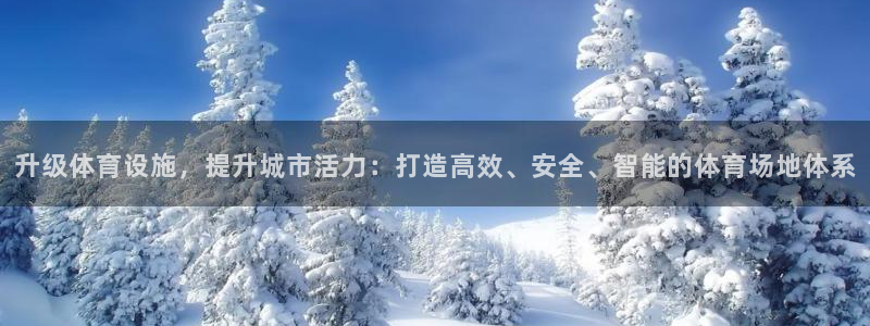 海南意昂体育4：升级体育设施，提升城市活力：打造高效、安全、 