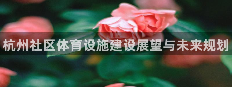 意昂4官方：杭州社区体育设施建设展望与未来规划