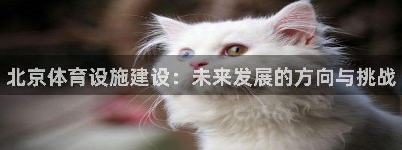 意昂体育4软件：北京体育设施建设：未来发展的方向与挑战