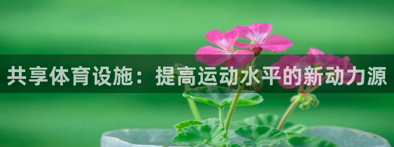 德国意昂4集团：共享体育设施：提高运动水平的新动力源 