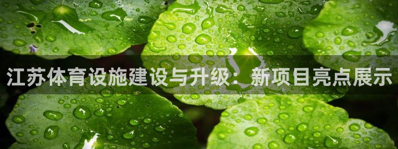 意昂4集团E.ON：江苏体育设施建设与升级：新项目亮点展示