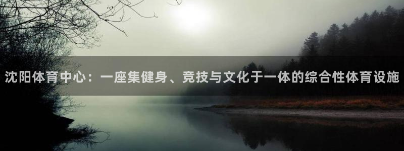 意昂4集团官网首页网址：沈阳体育中心：一座集健身、竞技与文化 